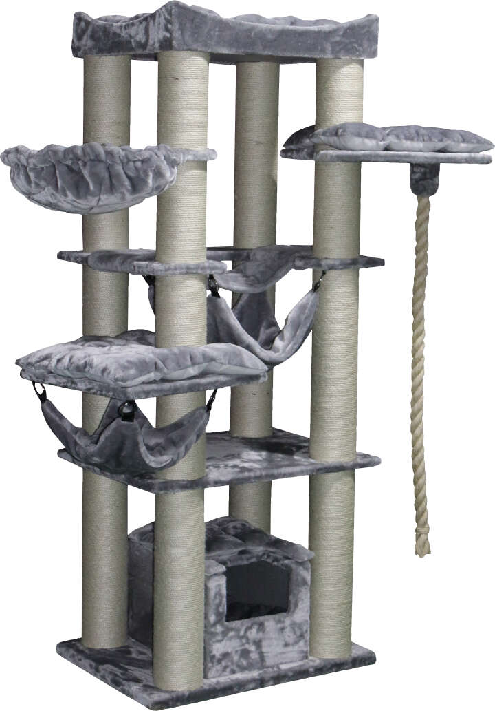 Nobby Kratzbaum Rubi